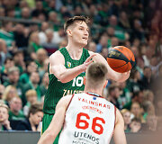 Ąžuolas Tubelis