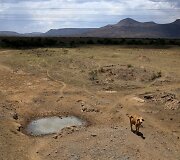 Sausra Pietų Afrikos Respublikoje