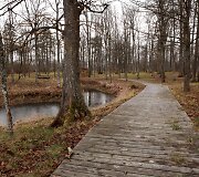 Kiemelių rekreacinis takas