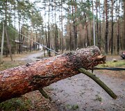 Stipraus vėjo padariniai Vilniaus mieste ir apylinkėse