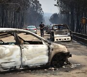 Mi&scaron;ko gaisras Portugalijoje