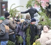 Kalėdinės eglių &scaron;akų dalybos