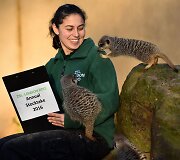 Kasmetinis gyvūnų sura&scaron;ymas Londono zoologijos sode