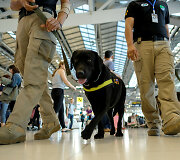 Tarnybinis &scaron;uo oro uoste