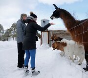 Kanadiečiai Kvebeko mi&scaron;ke i&scaron;liejo 13 km kelią pačiūžoms