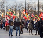 Kovo 11-osios Patriotinės eitynės: Vyčio grąžinimas