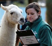 Kasmetinis gyvūnų sura&scaron;ymas Londono zoologijos sode