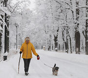Parkas Maskvoje