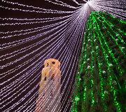 &Scaron;ventinis Vilnius