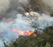 Mi&scaron;ko gaisras Madeiros saloje Portugalijoje