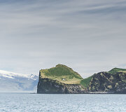 Elli&eth;aey sala Islandijoje
