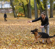 Sapiegų rūmų parkas 