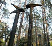 Petra&scaron;iūnų kapinės