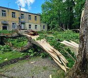 Viesulo nusiaubtas Antanavo dvaro parkas