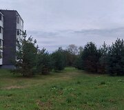 Mažosios gatvės Raudondvaryje žalioji zona, kur žadama nutiesti kelią