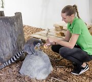 Vilniaus zoologijos sodas