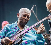 B.B.Kingas (2012 m.)