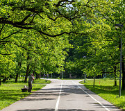 Kauno ąžuolyno parkas