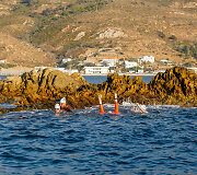 Plaukimas per Gibraltaro sąsiaurį