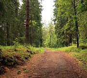 Takas aplink Vilnių