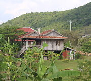 Kambodžos pipirų plantacijos