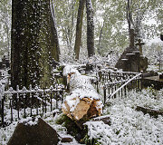 Bernardinų kapinėse audra i&scaron;vartė medžius