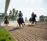 Žirgų lenktynės Raseinių hipodrome