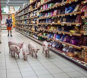 Protestuodami prancūzų ūkininkai į prekybos centrą paleido par&scaron;iukus