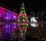 Raudondvario dvaro Kalėdų eglutė