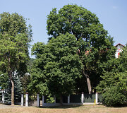 Rusijos ambasada Vilniuje