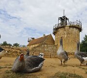 Prancūzijoje statomas pilis-fortas, pasitelkus viduramžių laikų įrankius, medžiagas ir tradicijas