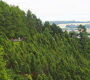 Kadagių slėnis