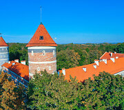 Panemunės pilis
