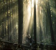 Elizabeth Gadd 