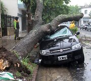 Argentinoje ant automobilio nuvirtęs medis 