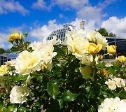 'Academie d'Orleans'