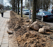Lazdynuose tvarkant ap&scaron;vietimą pažeistos daugybės medžių &scaron;aknys