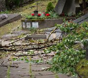 Audros padariniai Sapiegų parke ir Antakalnio kapinėse