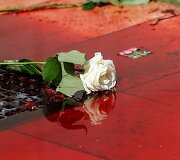 Paryžiuje per protestą liejosi netikras kraujas