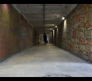 Dokumentinio filmo &bdquo;Su kokiom istorijom mes augom&ldquo; kadras
