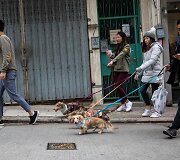 Kinijoje vyko taksų eitynės &bdquo;Sausage walk&ldquo;