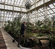Londone lankytojams duris atvers rekonstruota Viktorijos laikų oranžerija