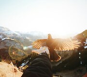 Svajinga fotografo kelionė per Vokietiją, &Scaron;veicariją ir Kroatiją