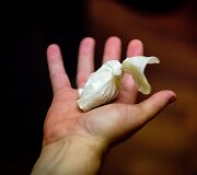&Scaron;iuos narkotikus prarijo sulaikomas jaunuolis
