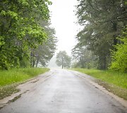 Lietus gaivina gamtą ir merkia praeivius