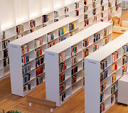 Ąžuolyno biblioteka