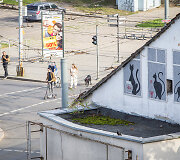 Vilniaus stogai