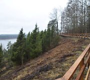 Atnaujintas Kadagių slėnio takas
