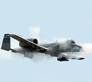 JAV &bdquo;A-10 Thunderbolt II&ldquo; &scaron;turmo lėktuvas