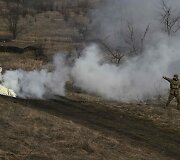 Ukrainos karys